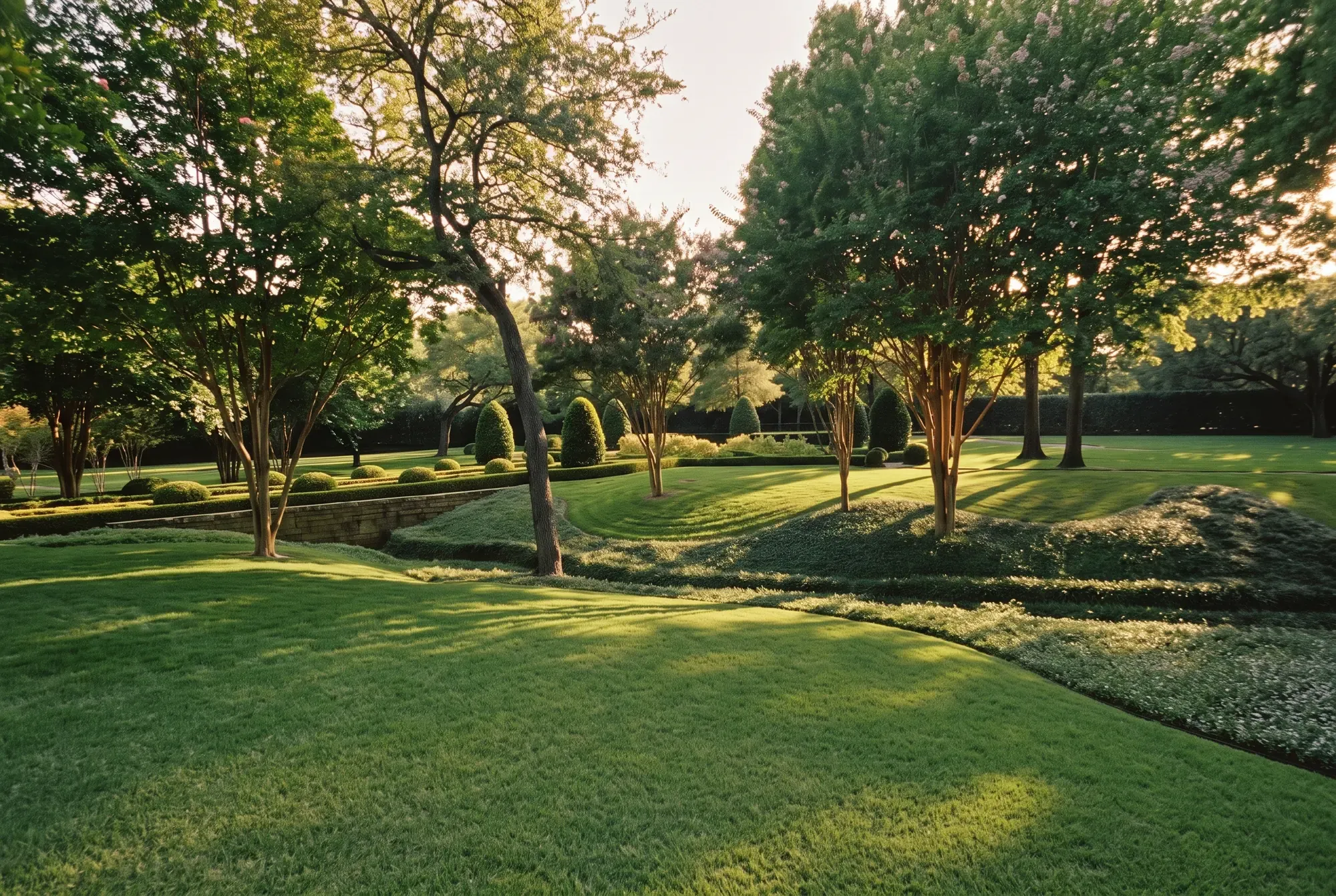 A sweeping lawn beside a formal garden of clipped topiaries, crape myrtles, and a low stone wall